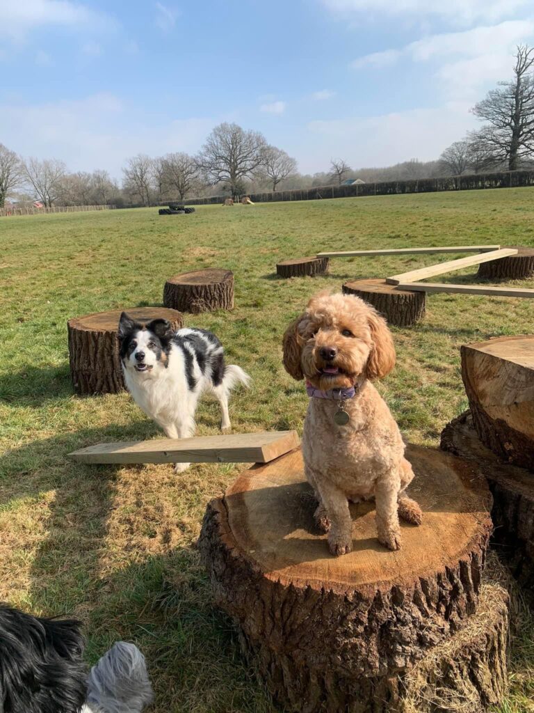 2183 150d389bc3368560e2c81638e3d20179 1 768x1024