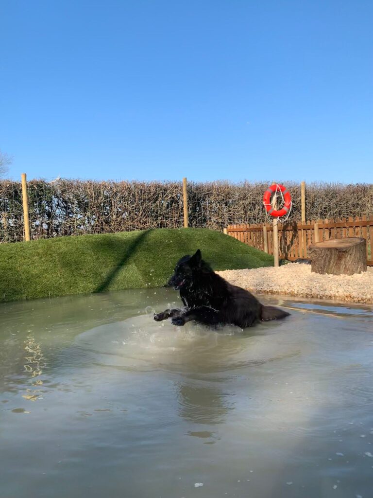 2183 24dd080627908c68c8d654d4b73e87ed 1 768x1024