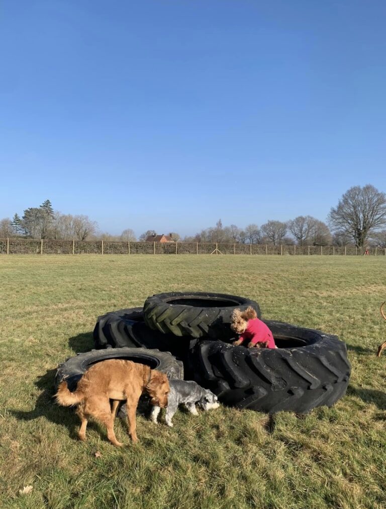 2183 3989ba8efbf0bb810f5a38839fdbc9e0 1 768x1011