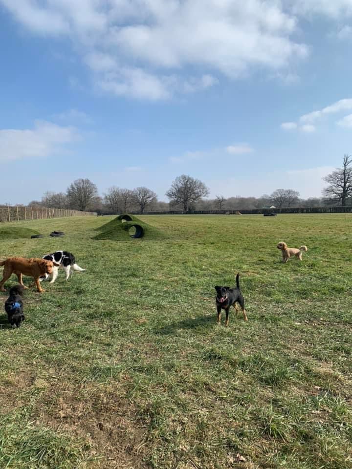 2183 3e561140e2480dfa869dc96720868a57 1