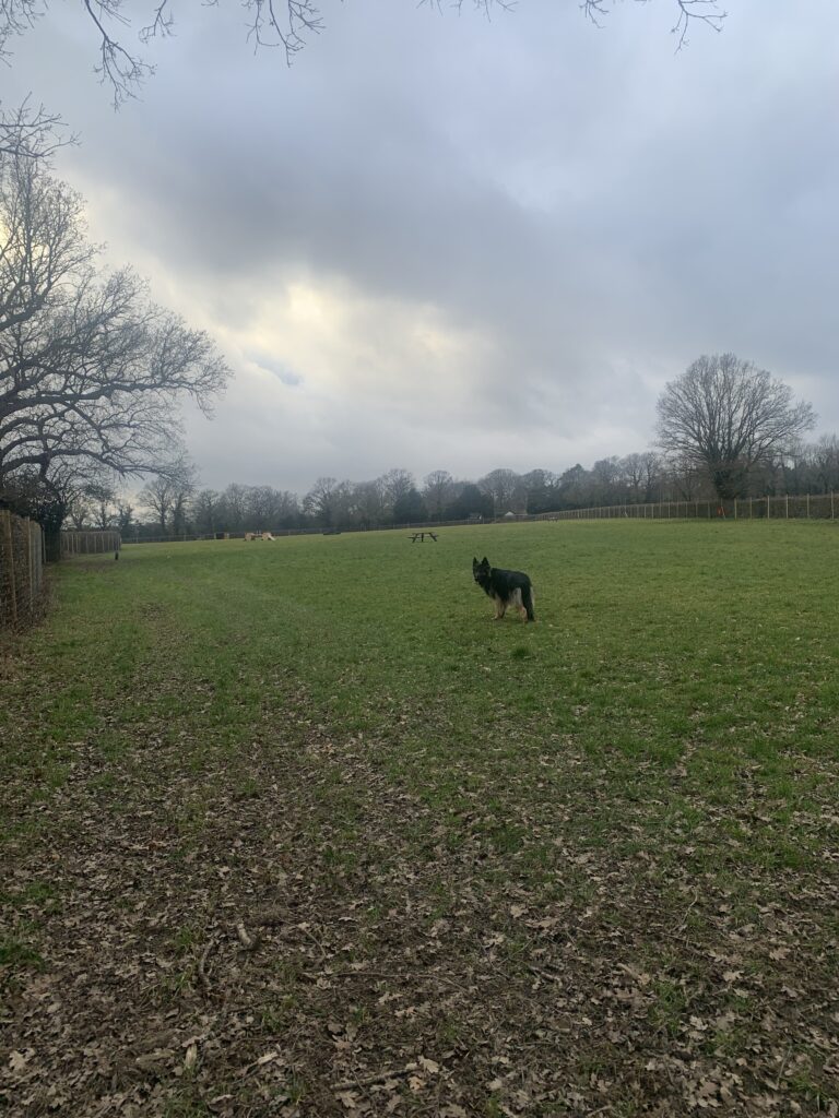 2183 401a20fa738747adaa87c749e38ea02e 1 768x1024