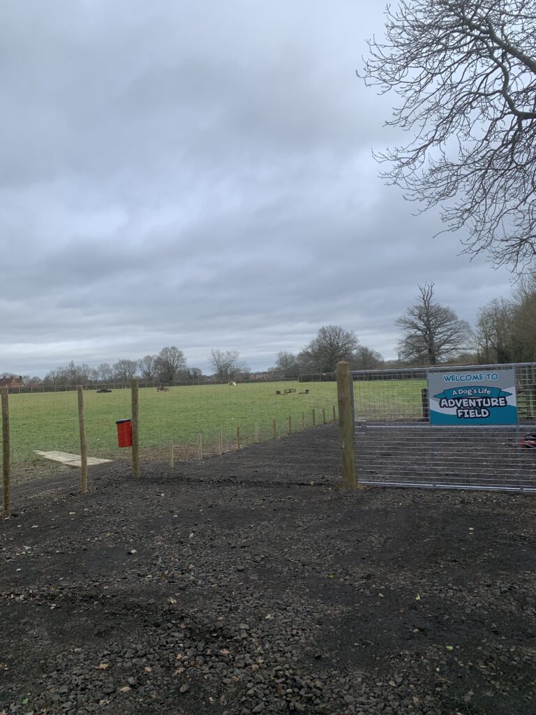 2183 6fc08335b3c7c59e9b29d4bb2450313c 1 768x1024