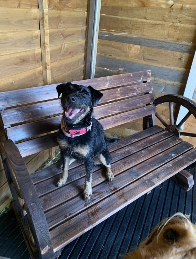 2183 7f4d5a2d333d621b3d48da70104af47e 1 768x1015