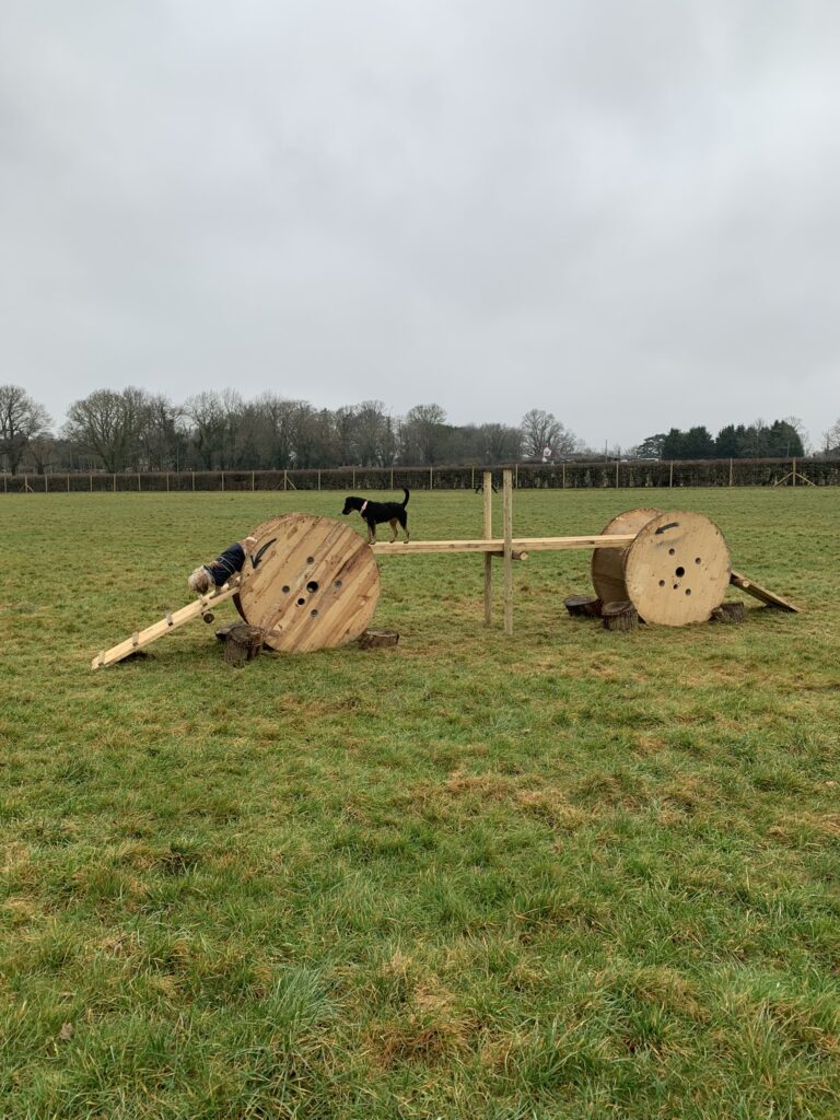 2183 a27553dce1c92a658e0388275f199cd9 1 768x1024