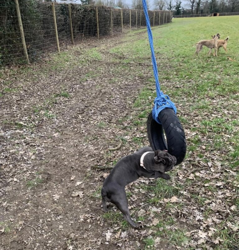 2183 abca117b3356578b1d527d509913c3e0 1 768x803