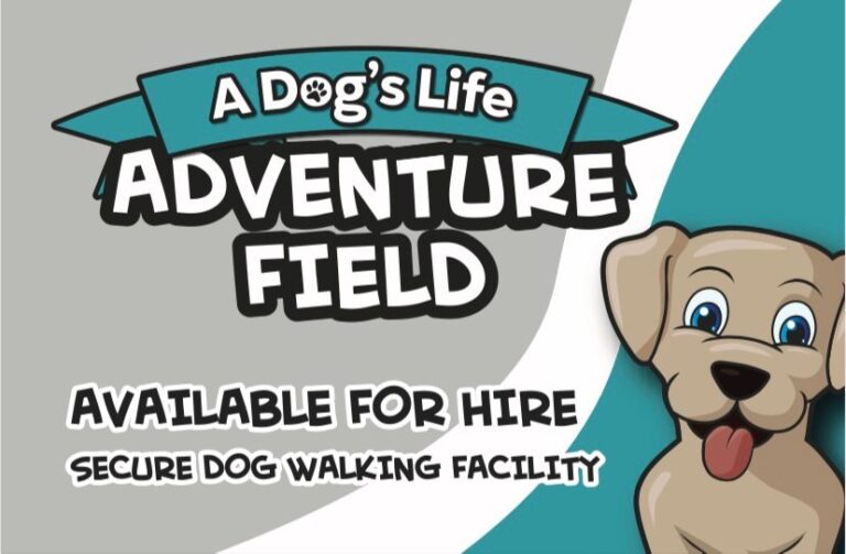 2183 b46bd9cddf237eb379d09ccb9f572360 1 768x503