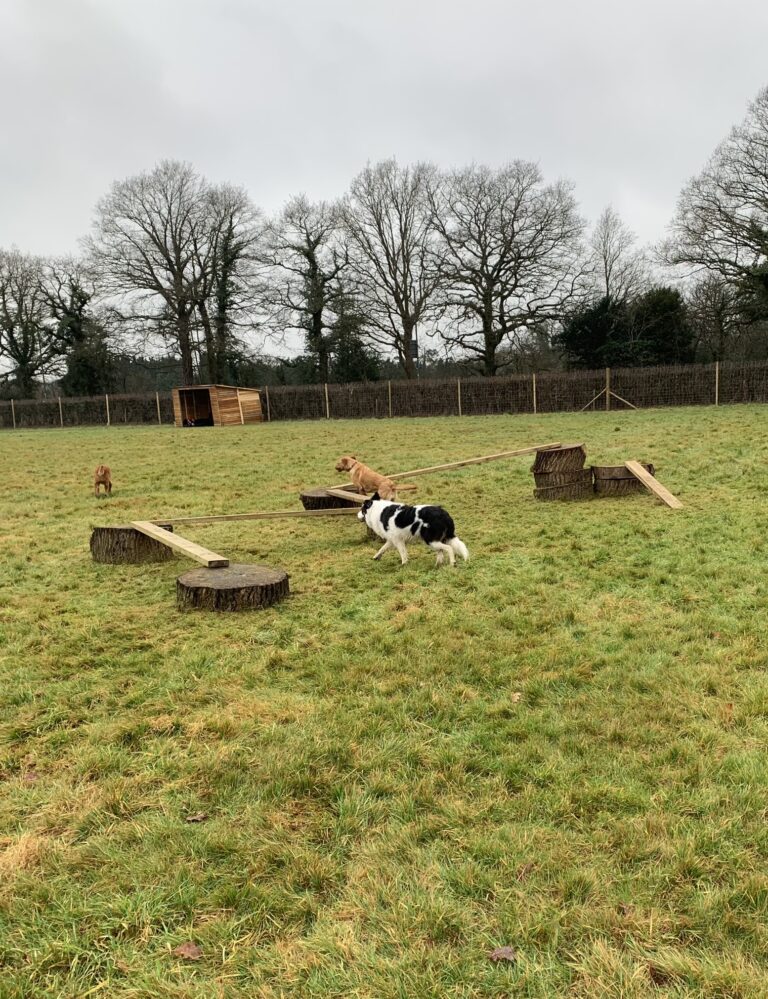 2183 bb8d4308c06b7b020895fc6d8a630850 1 768x999