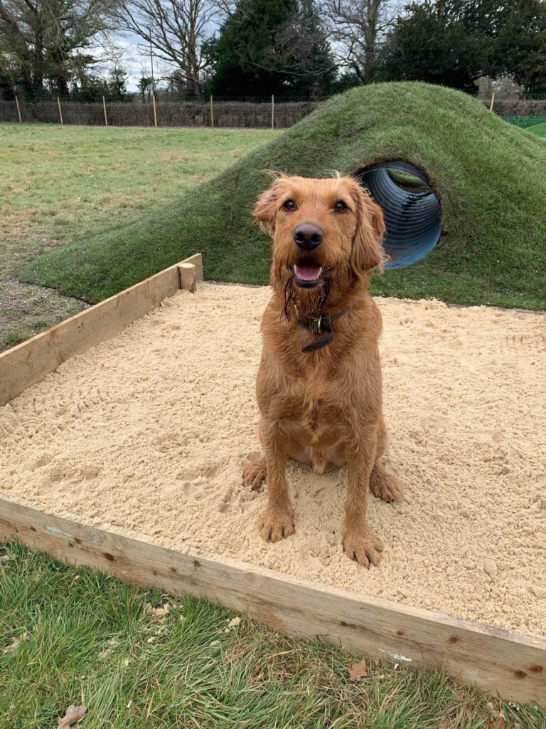 2183 ce5163eb3a911773f132d404dc1d3019 1 768x1024