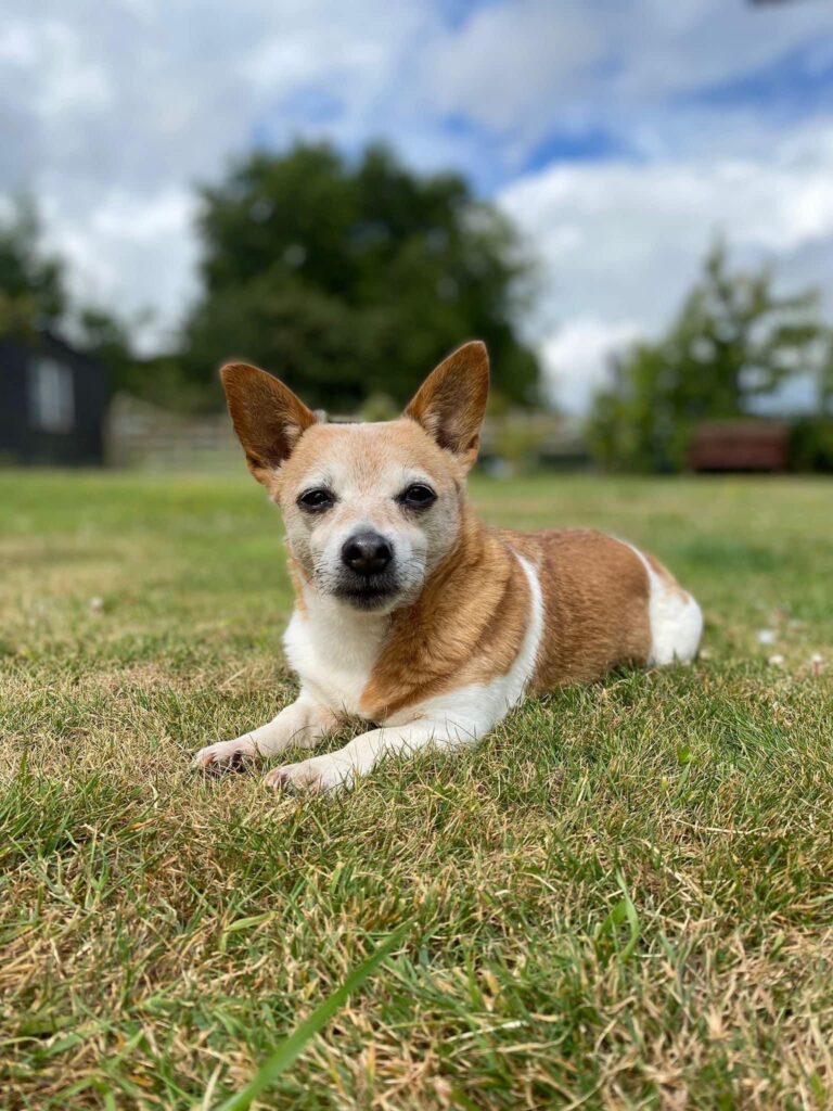 2185 b04a6fb882a6fbcda67722211443a3dd 1 768x1024