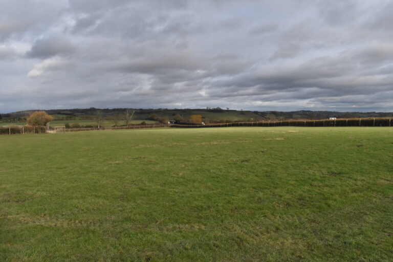 2187 1d7a8cd122320dcc2b1afc0a076b9253 1 768x512