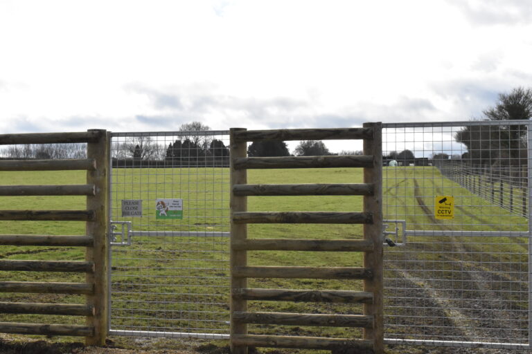 2187 9b666333f2bbef66d6d732a0623808d9 1 768x512