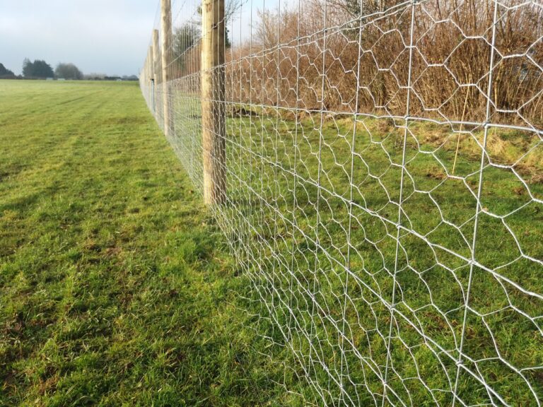 2187 aecebe498fcccd1f73c4167a25c89ca8 1 768x576