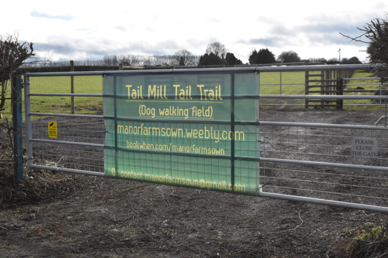 2187 eeeca54177366d7b8154f46e0c860876 1 scaled 768x512