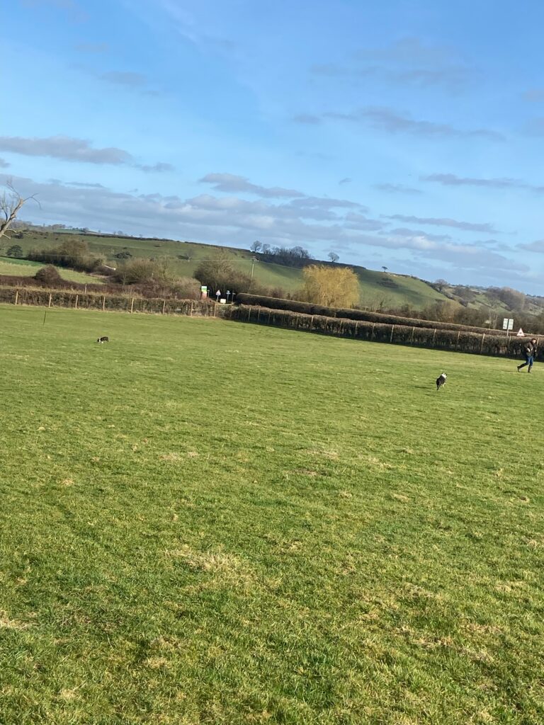 2187 fc6b67edabf86b89d0393866916199af 1 768x1024