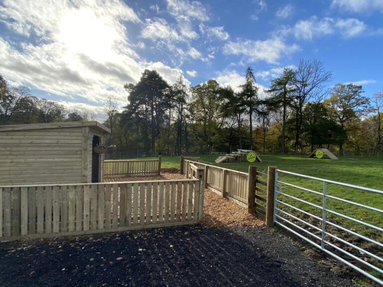 2193 c2b5d794f19a9181e23dafbb173b519a 1 768x576