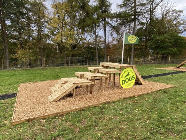 2193 c826786e903c409634780ffcbac0a8e5 1 768x576