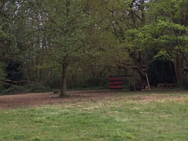 2196 cfe50ddc544d23d4ab3a0652bd50ac94 1