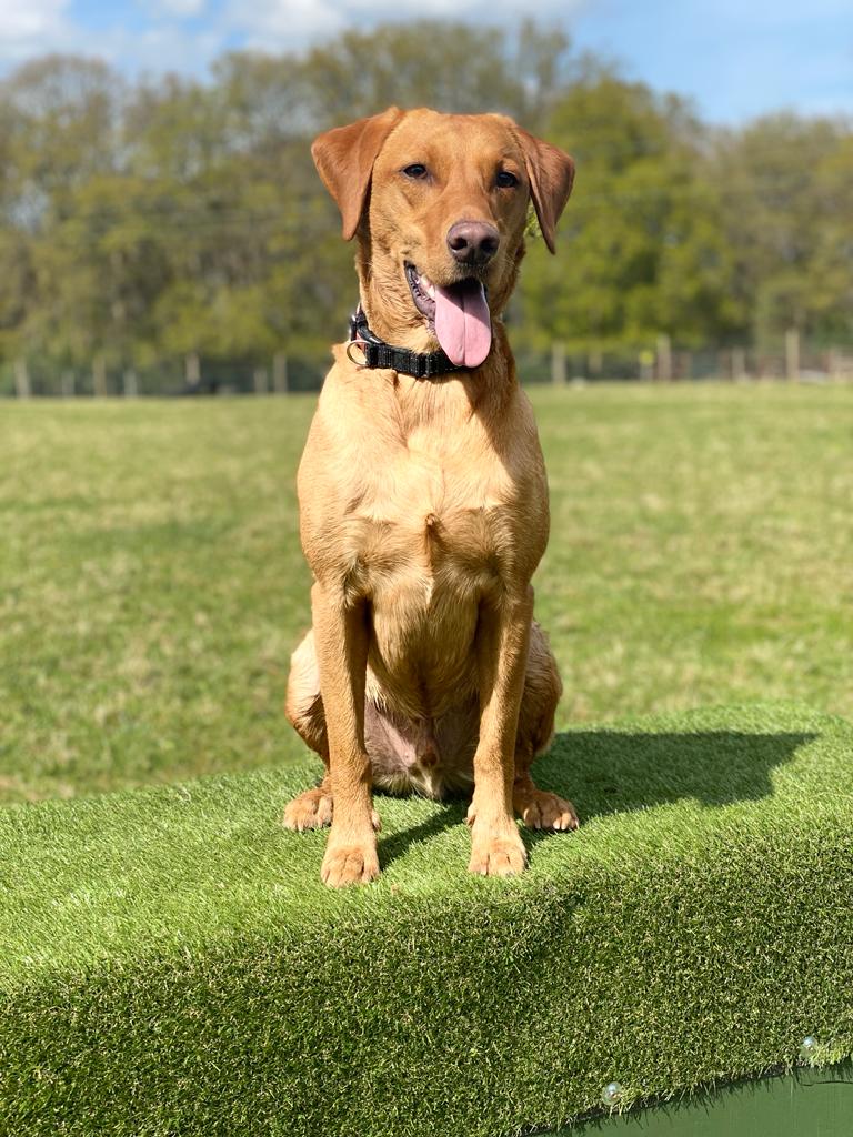 2197 6341b8de750ff447276d110b43bf71e5 1