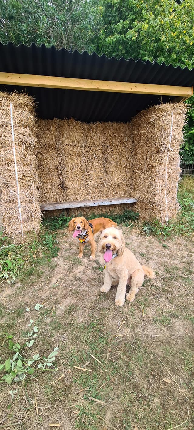 2199 220974bc7f9d78c28ecbcb7d11d79795 1