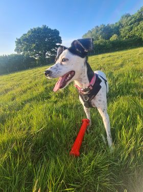 2199 2a4e5dea08e23902b4a4dd0bba4bcd3b 1