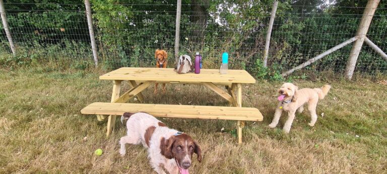 2199 3e122ebf12bd1d4c9f8d0d479b06ebe2 1 768x346