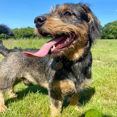 2199 550b666cece7374db6ba22e34ebeedf4 1