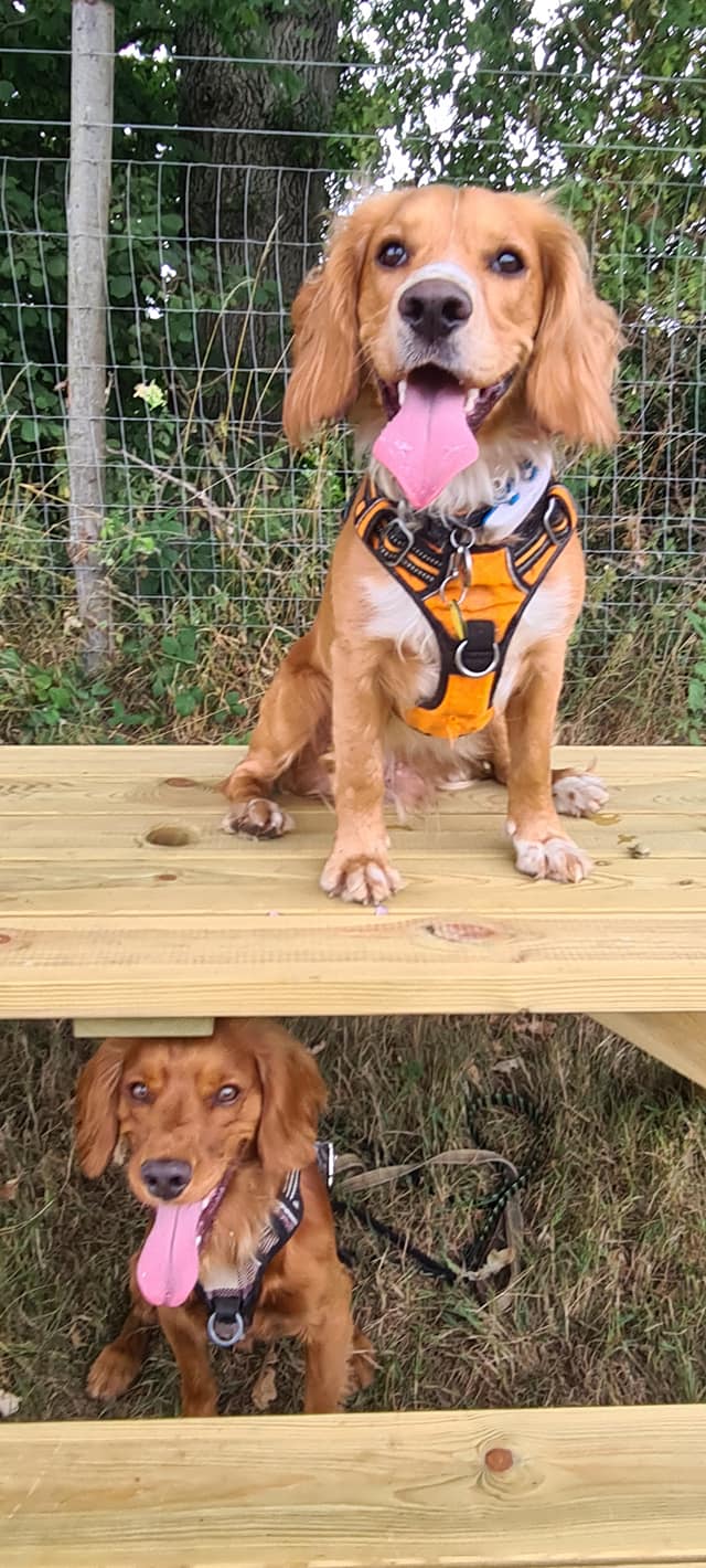 2199 70bd5f1f7a8821665ef68cfcedd6aaaf 1