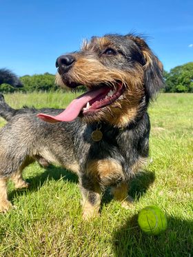 2199 aabc883490478fc9a06f9f1c11c18be2 1