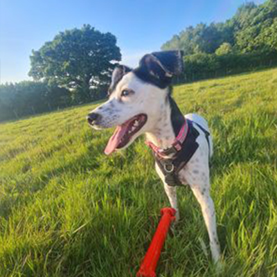 2199 fccf6cee76629d01773fac5fee805d2e 1