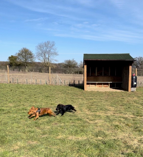 2200 18c5da7aaf7c57754ebe5179a26deb1a 1