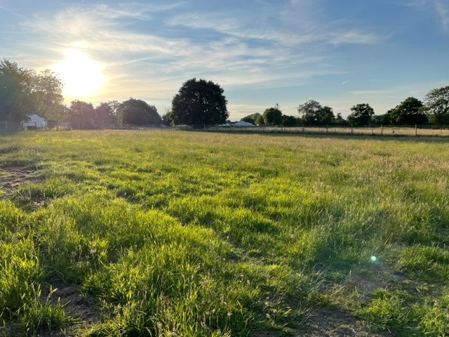 2200 194fa0c533249b96898f39f7d20f530c 1