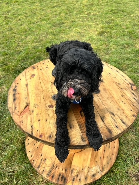 2200 2142221611ff8adb3a7eaf1b1e060125 1