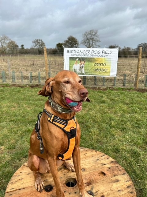 2200 55fe891ed665c3535936898335cd74e3 1