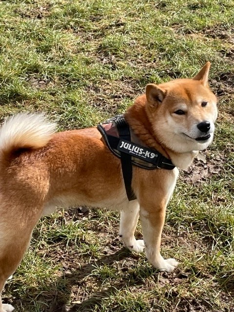 2200 58ab83f30cc27018b557709c9f93a3c4 1