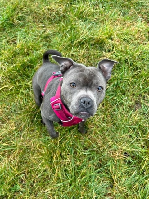 2200 5d0c930e682cd6834992bdee93009abb 1