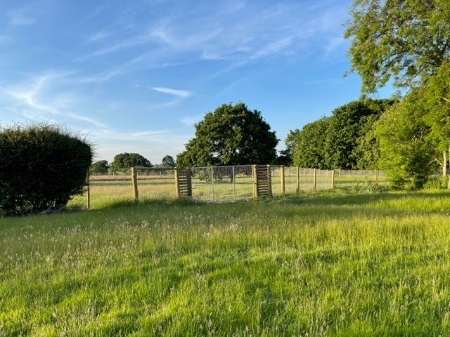 2200 629fca23ca2a1bfac246e95428a39aa0 1