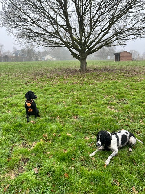 2200 a03f779cdde8247c6a477759f7c0bae6 1