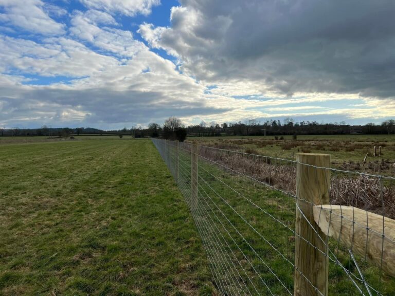 2202 25c88c58fb072e1dcb2f8835ea0a2007 1 768x576