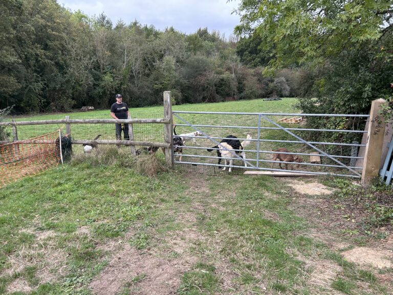 2204 0875c6be82f98c1248cb6ab1f2678f98 1 768x576