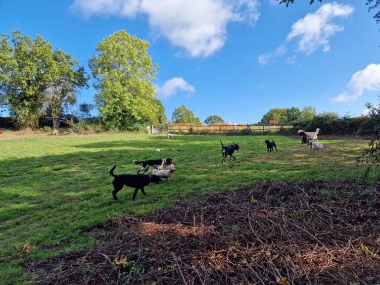 2204 1d512d79b9216af534a7787a1097e45a 1 768x576