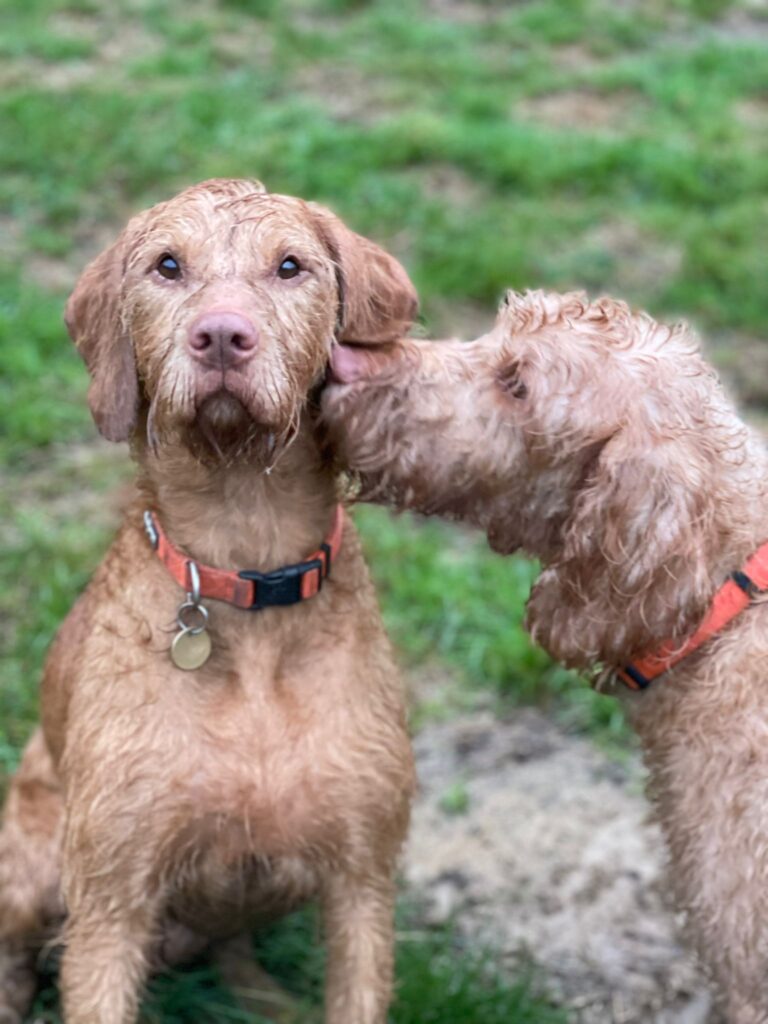 2204 f6543d65f36716752d0366d109a8364b 1 768x1024