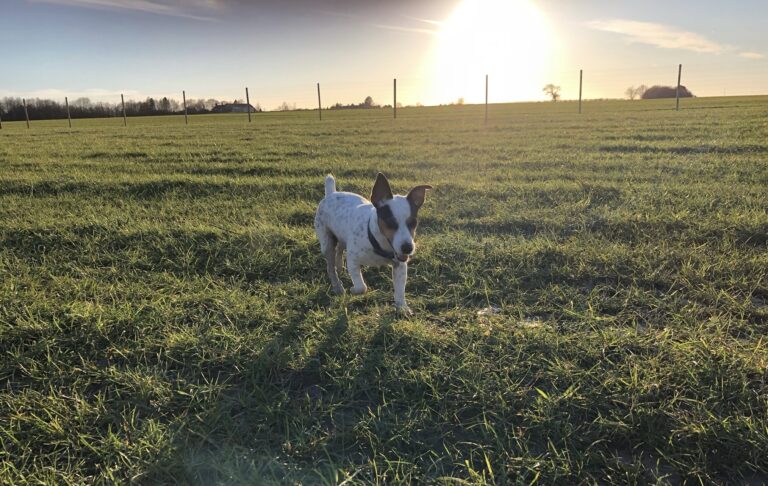 2205 2a042f18a3664456c81f93b499a88d10 1 768x486