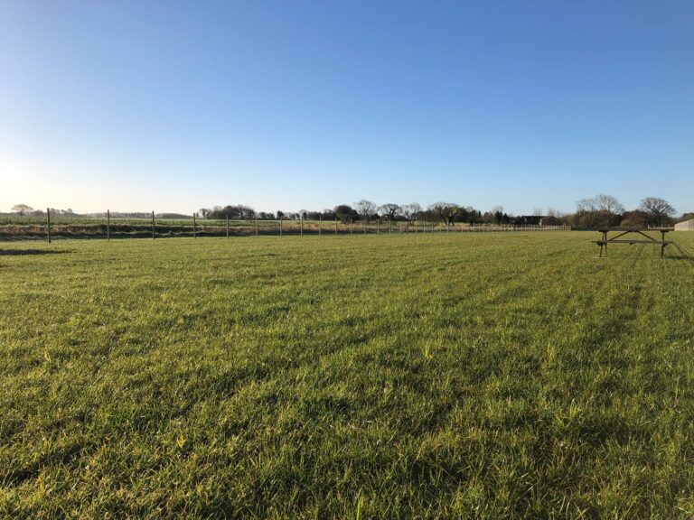 2205 9d6ac894d405ae78112aab895db7c706 1 768x576