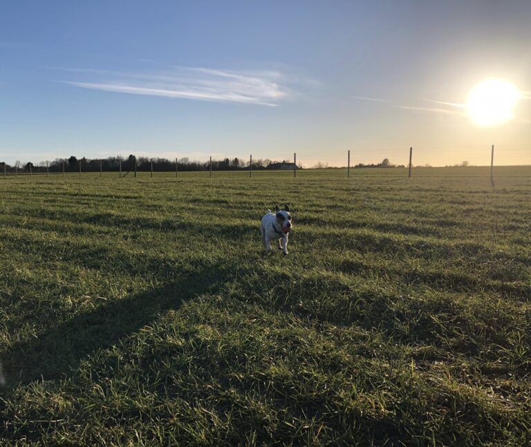 2205 b042ae9361149c6b205dc894915b9be0 1 768x647