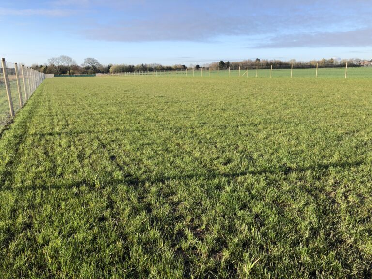 2205 ba6d00a5b7789297cfca2f182a8d241e 1 768x576