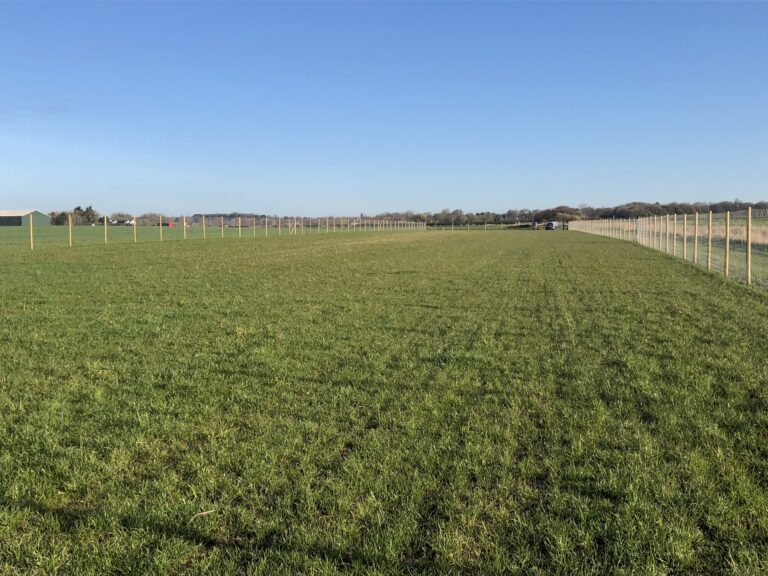 2205 c981379fc6146de521a08c808d76409b 1 768x576