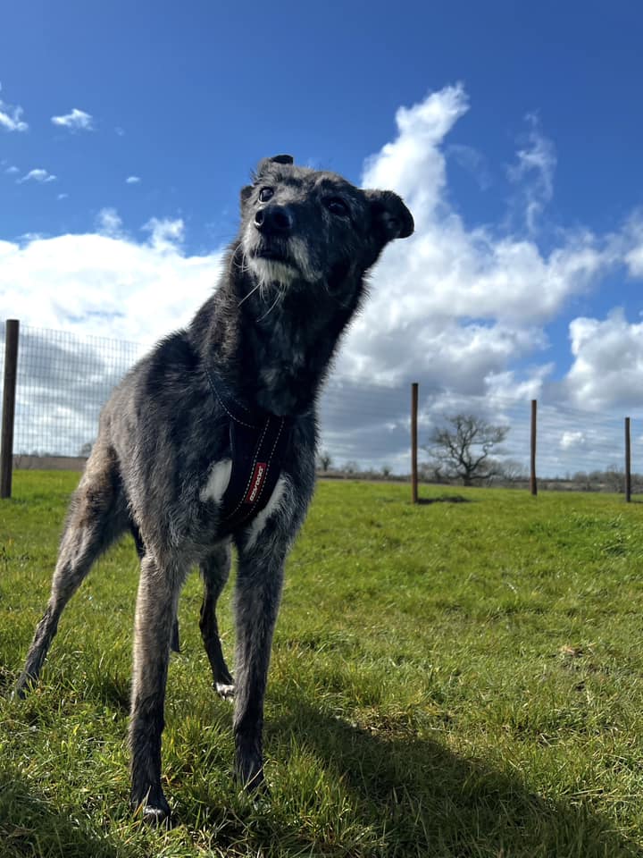 2206 043c51eb2a4cbefe47212db3b57fd6e9 1