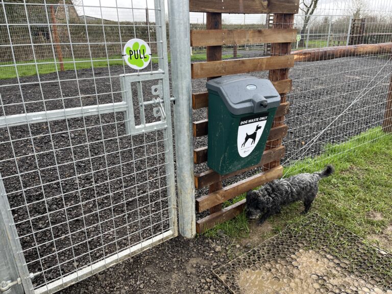 2206 11bd3f0b3ce2f4fae5b0ff9a715190e1 1 768x576