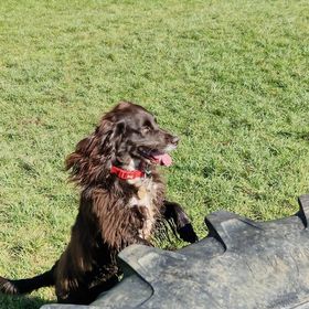 2206 3988db55f2f63826df31d96dbddd8f3f 1