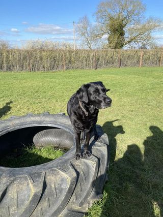 2206 4e35ebf22c905bbcf11b90d965bf57f1 1